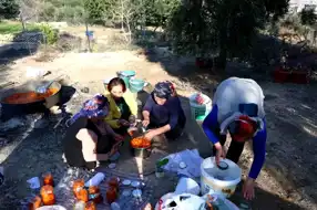 Kozan'da İmeceyle Kabak Tatlısı Şöleni
