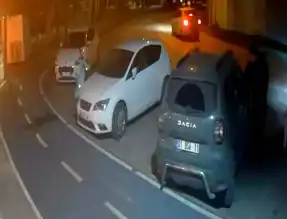 Adana'da Göl Kıyısında Hırsızlık! Güvenlik Kamerası Şüpheliyi Yakaladı