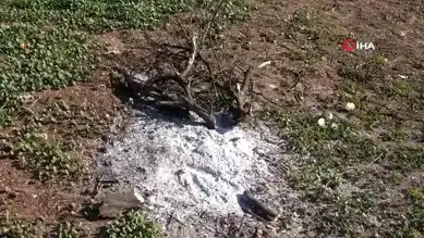 Adana'da Sevgilisi Tarafından Öldürülen 2 Çocuk Annesi