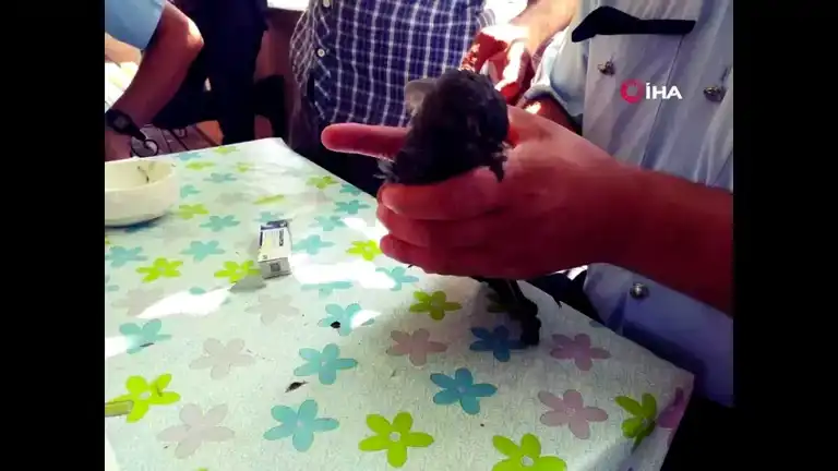 Ailesini Öldüren Polisin Güvercin Hikayesi: 8 Yıl Önce Kurtardığı Kuş