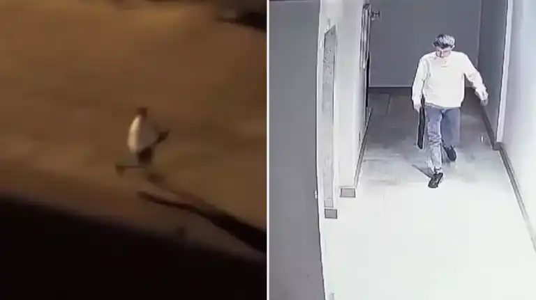 Motosikletli Saldırı Plancıları Yakalandı